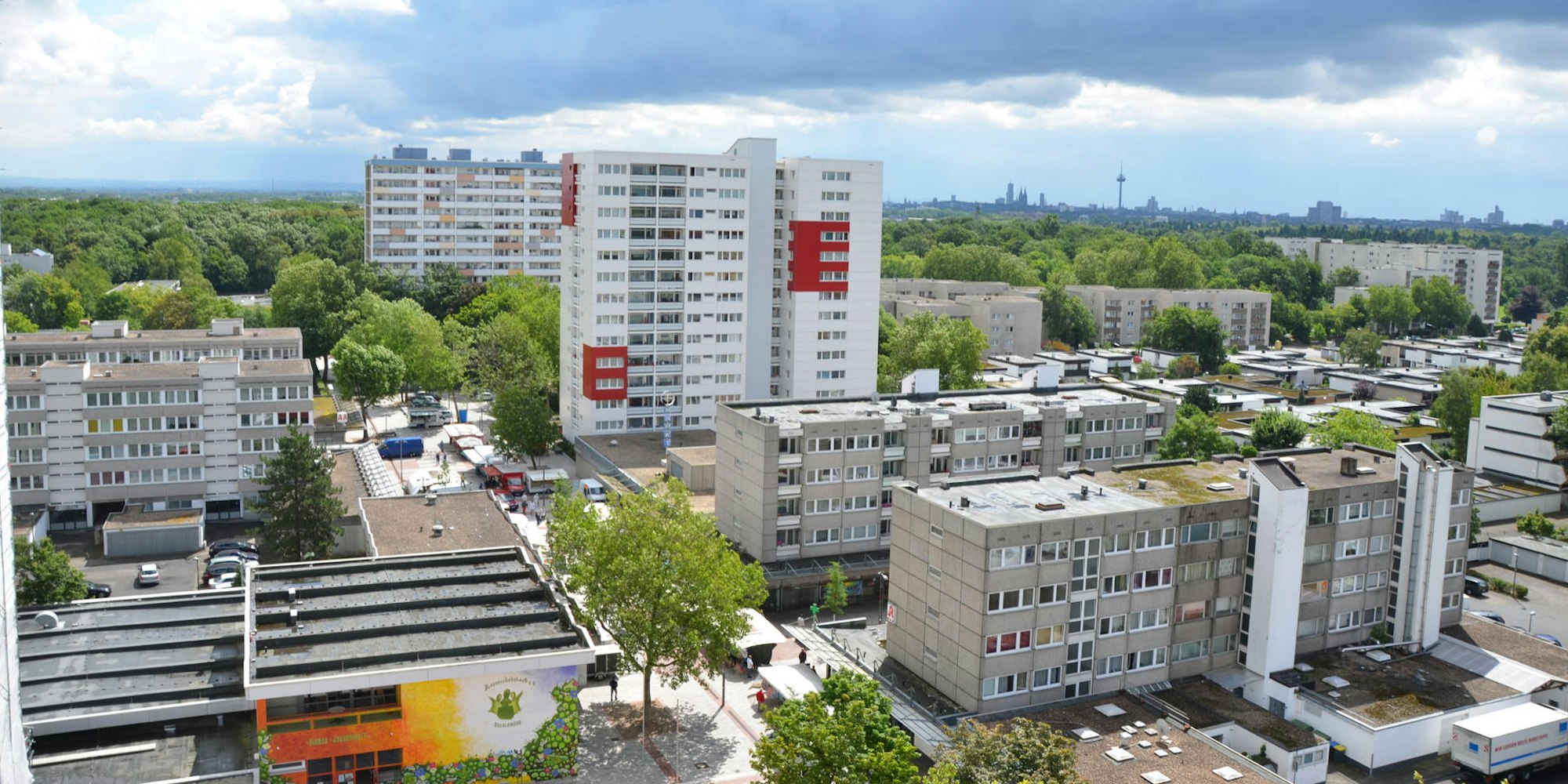 MDS-EXP-2020-02-17-71-158117831