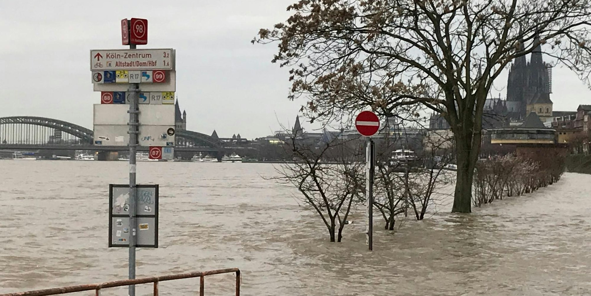 Rhein_Hochwasser_180124