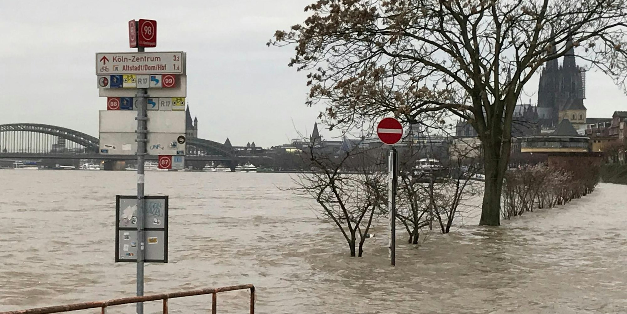 Rhein_Hochwasser_180124