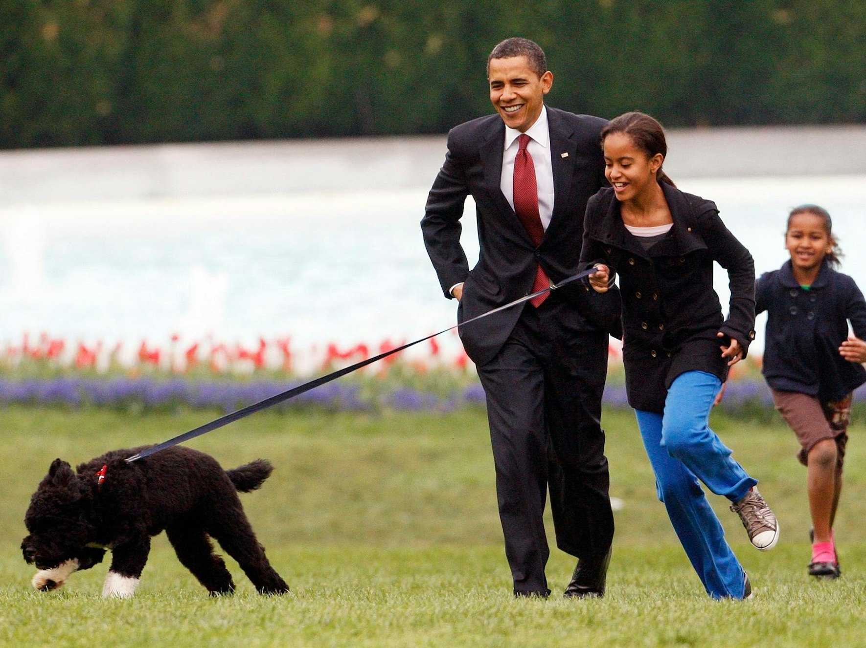 Bo_Obama