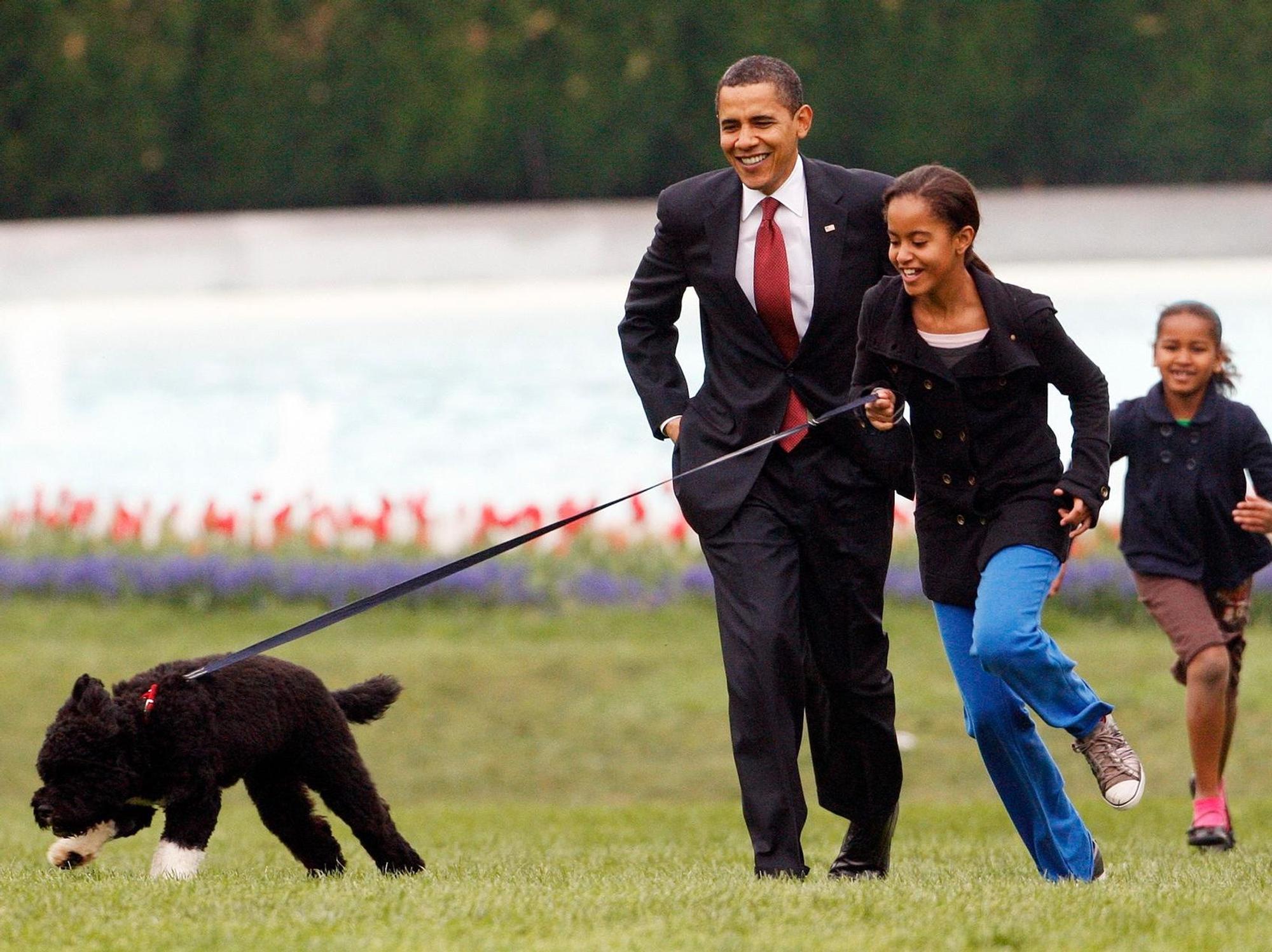 Bo_Obama