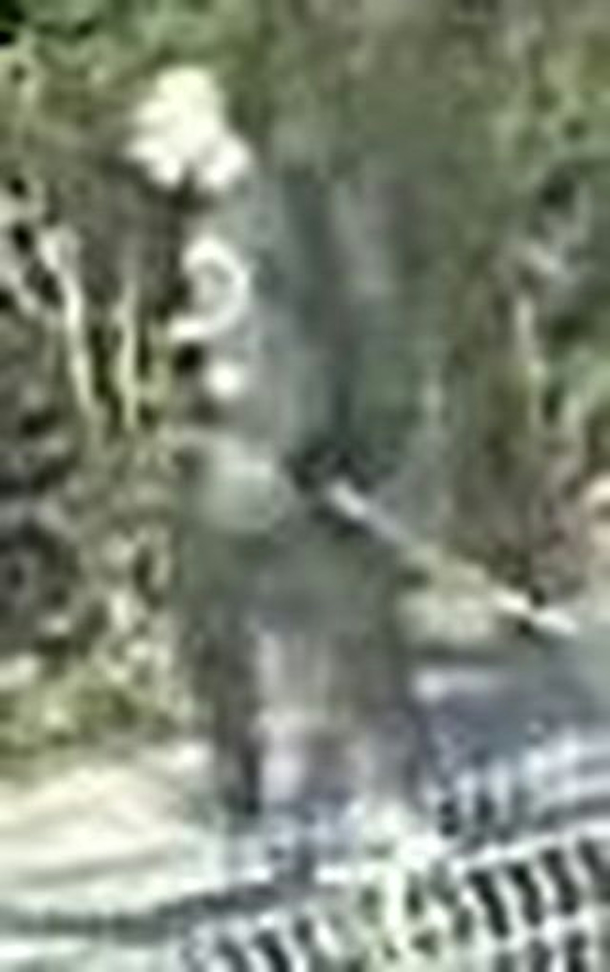 Tatverdaechtiger_Kerpen_Spielplatz1