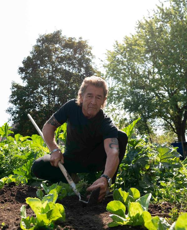 Peter_Maffay_Salat_31012020