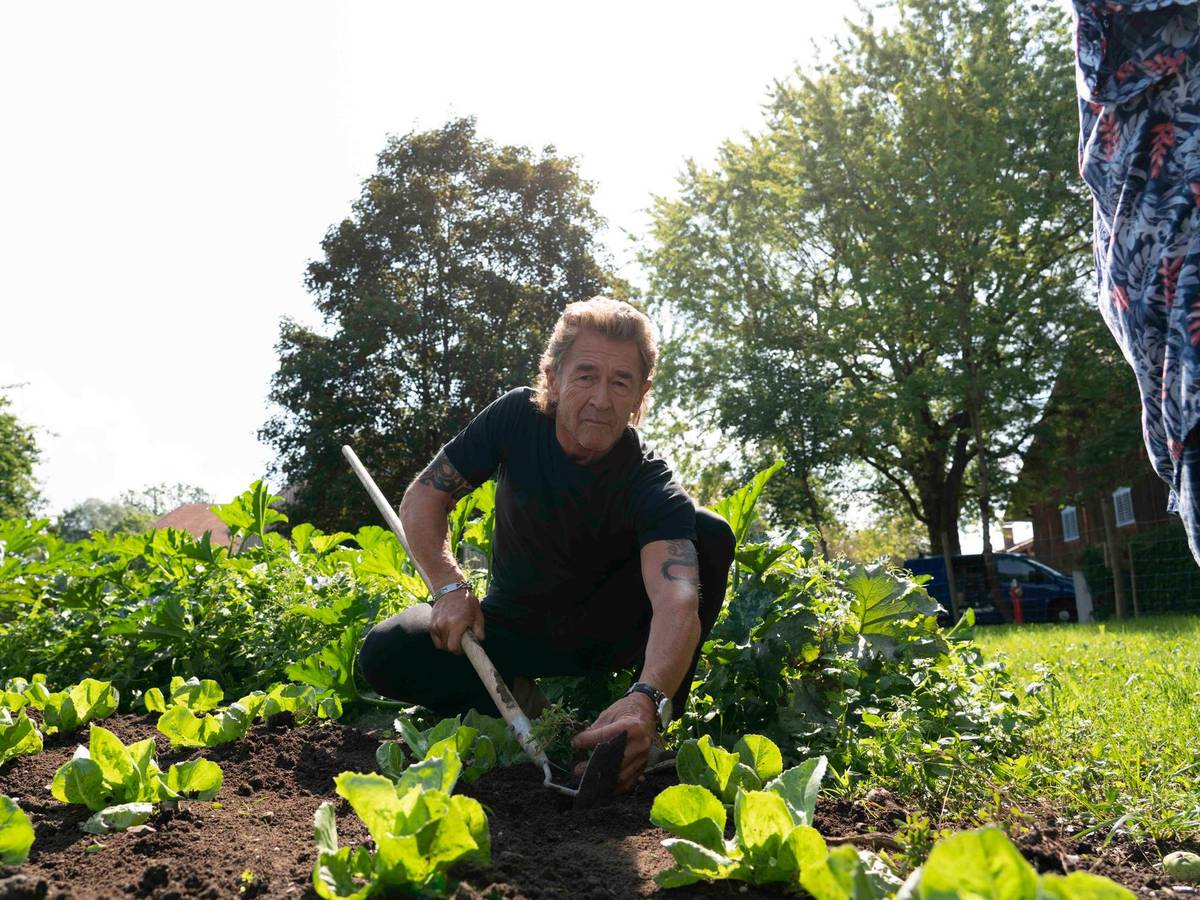Peter_Maffay_Salat_31012020