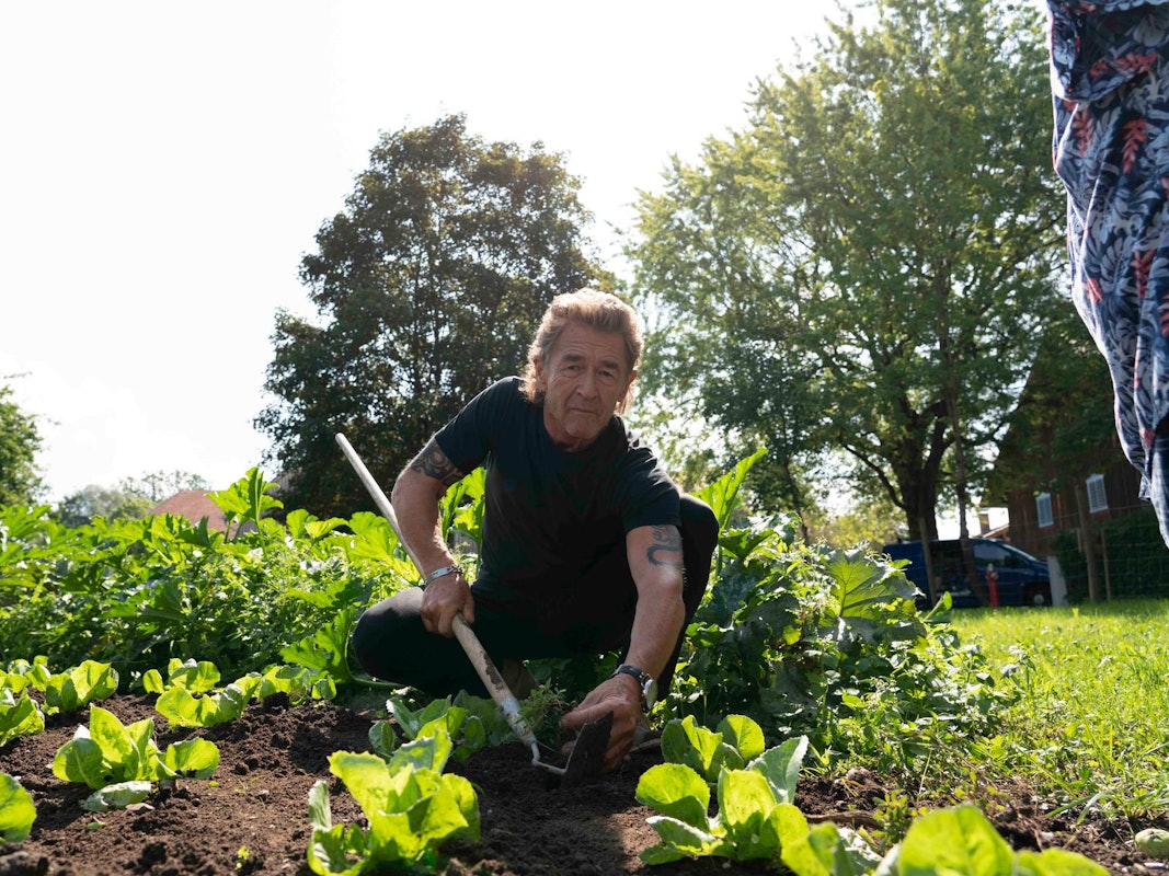 Peter_Maffay_Salat_31012020