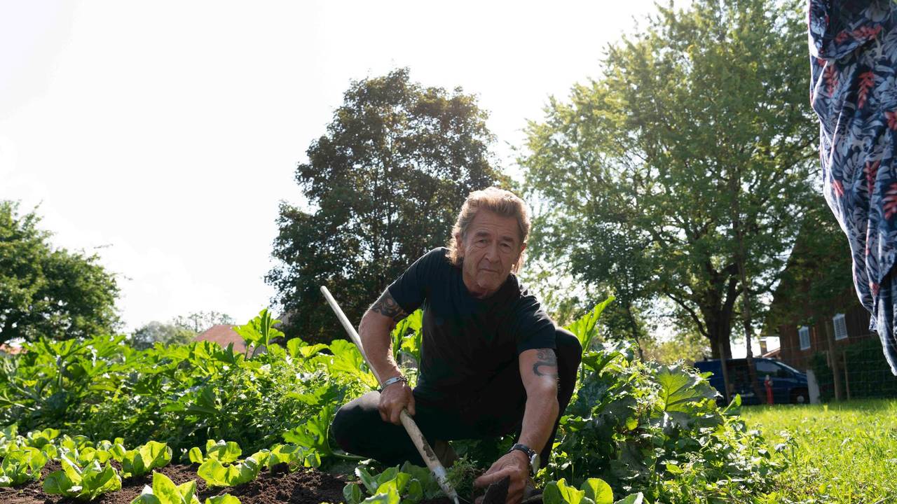 Peter_Maffay_Salat_31012020