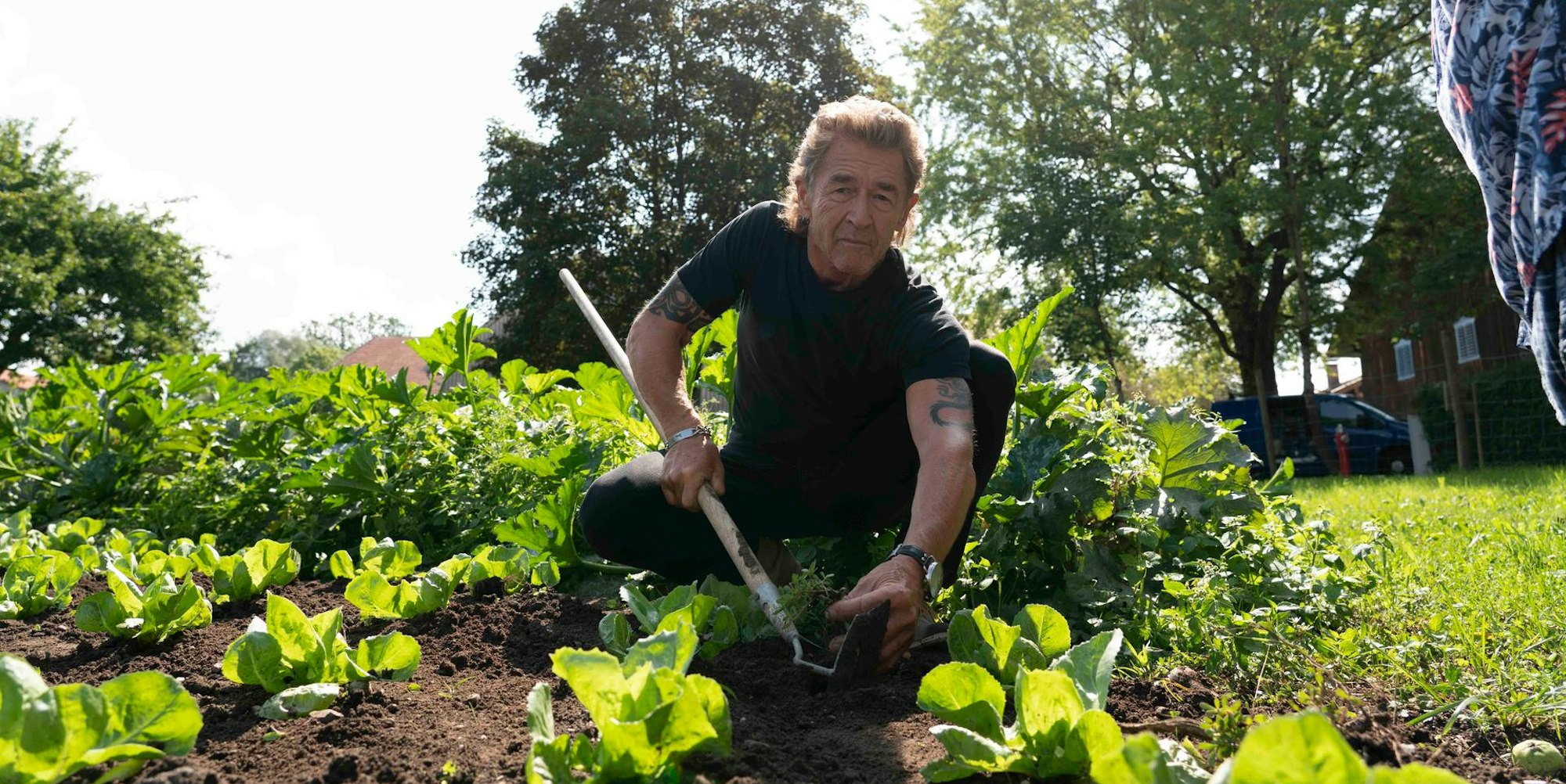 Peter_Maffay_Salat_31012020