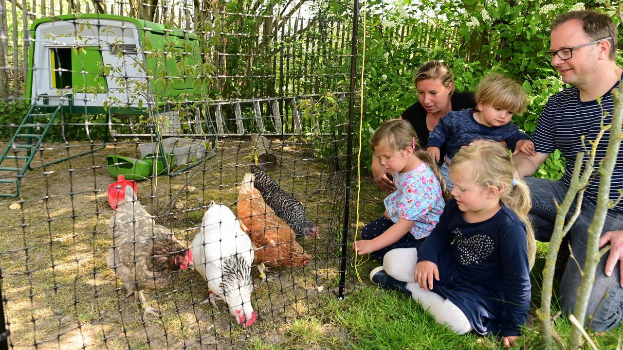 Neuer Inhalt (2)