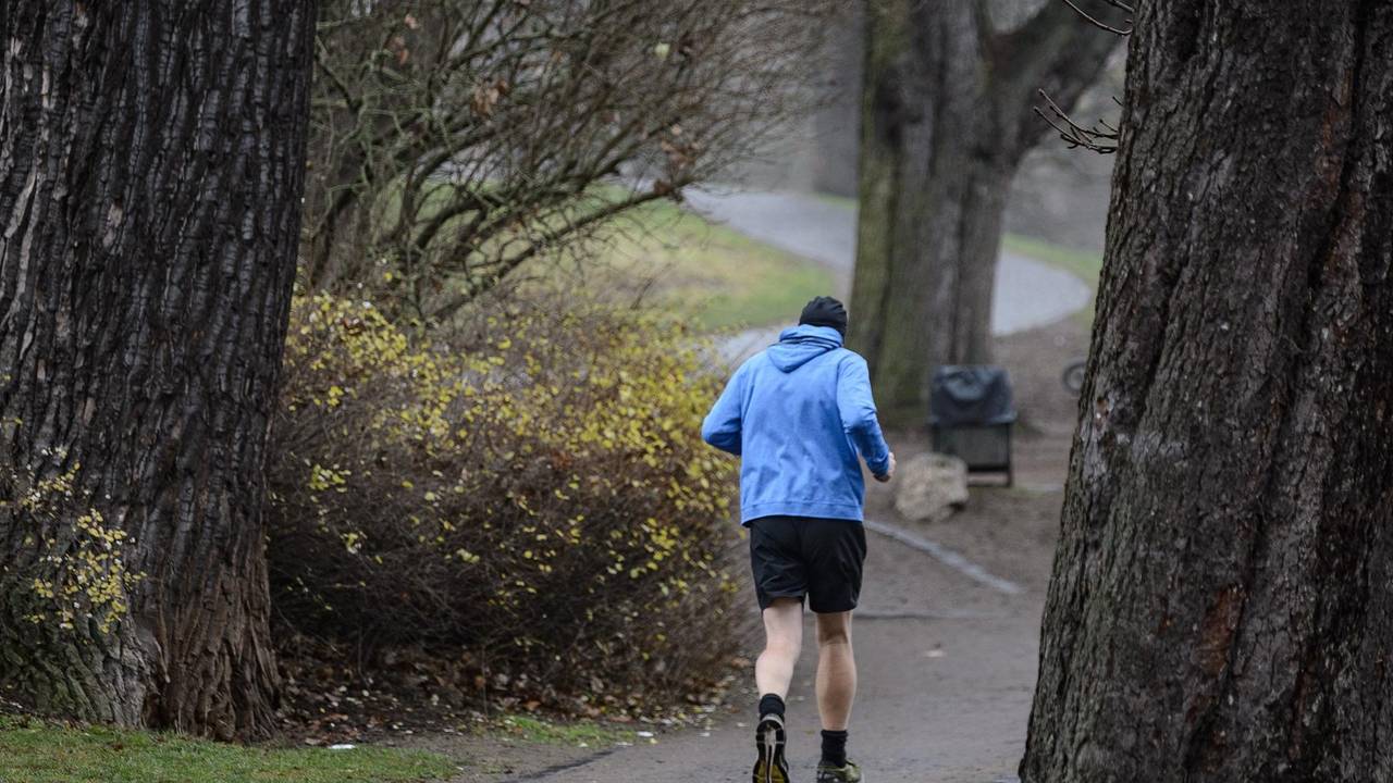 Ein Jogger läuft über einen Weg durch einen Park.