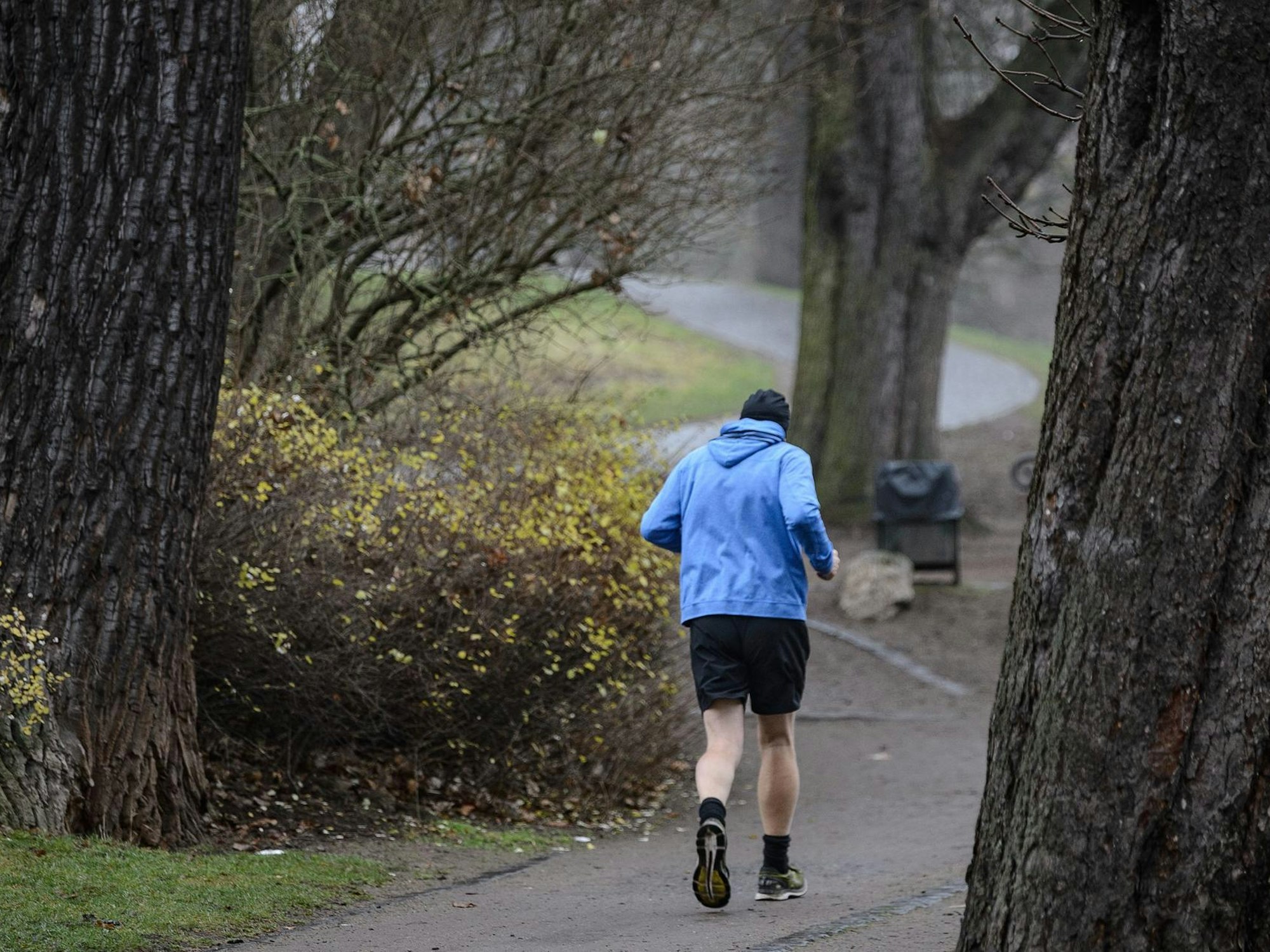 Ein Jogger läuft über einen Weg durch einen Park.