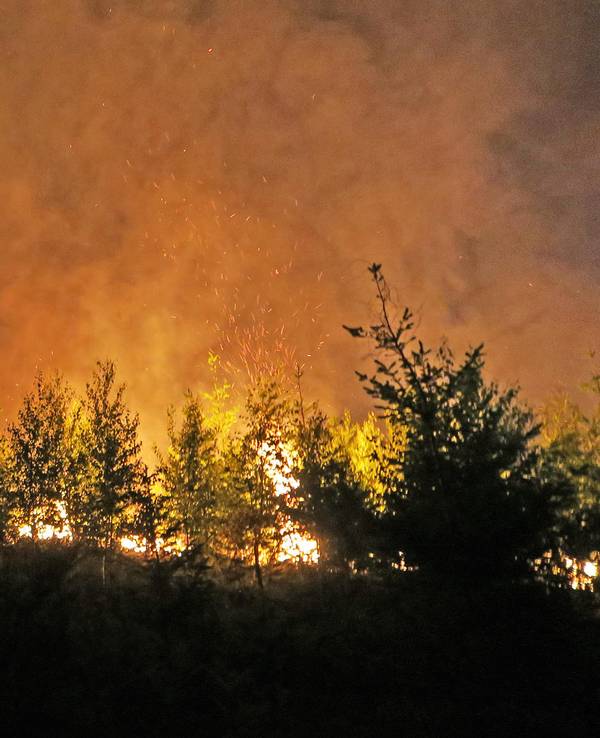 Zwischen Bäumen lodern Flammen und Qualm steigt auf.