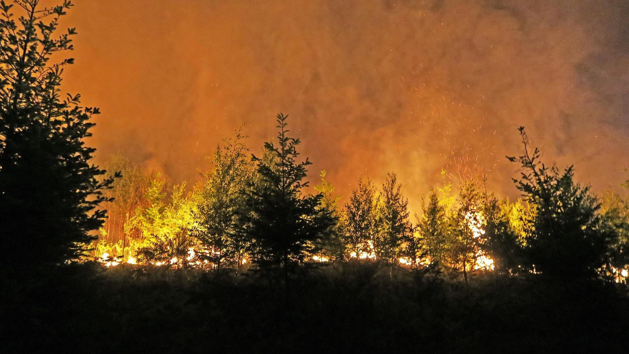 Zwischen Bäumen lodern Flammen und Qualm steigt auf.