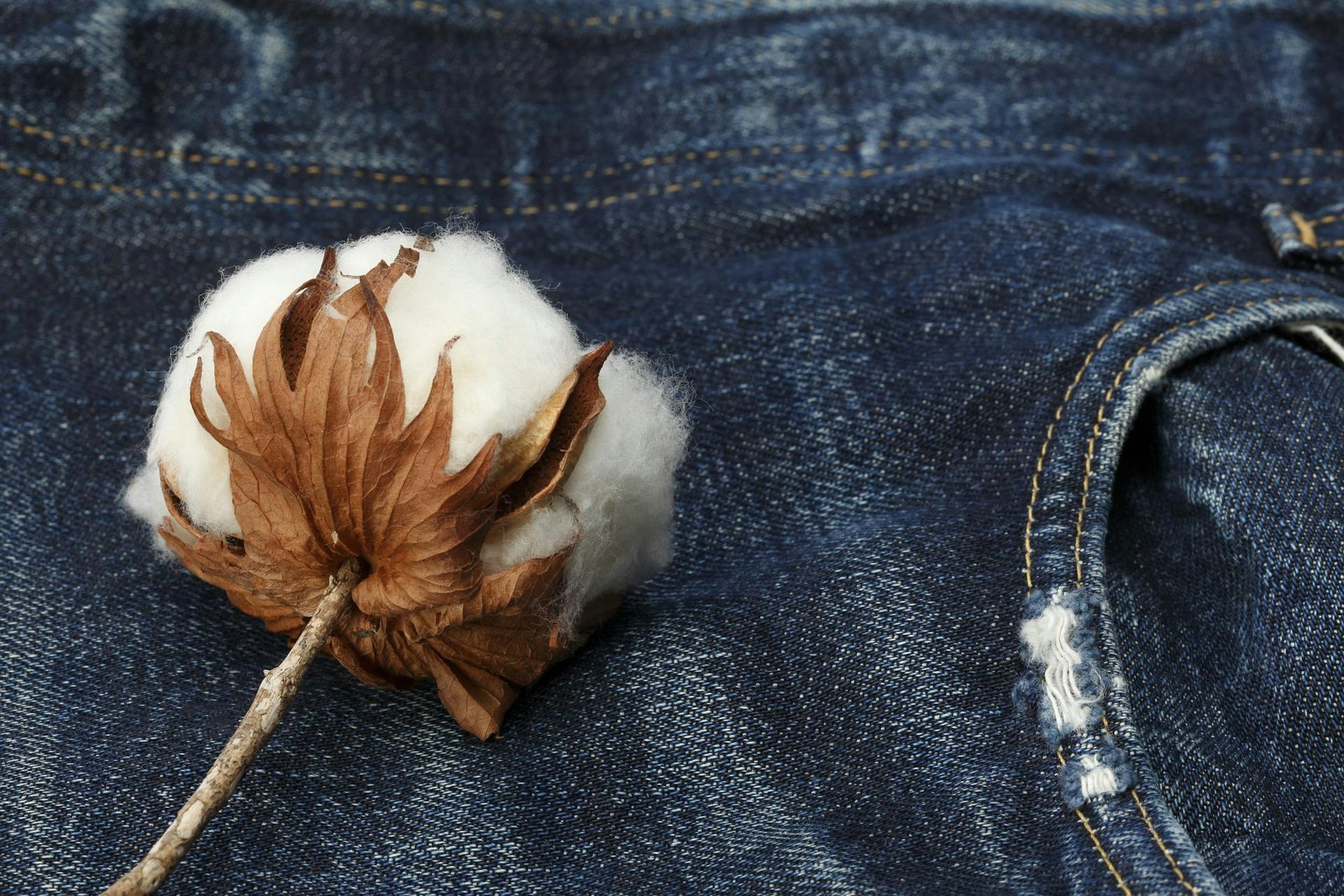 Baumwolle_Jeans