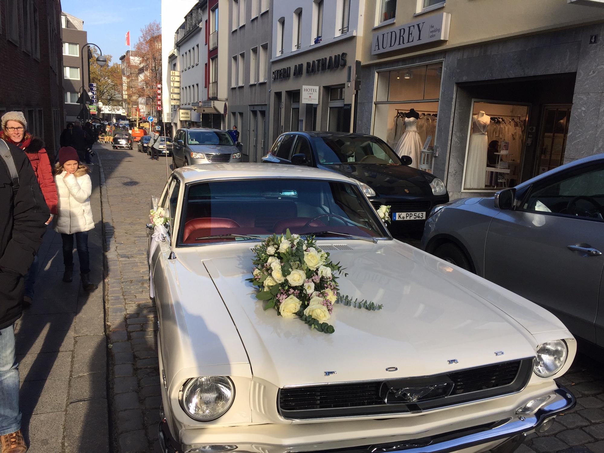 Neuer Inhalt (6)