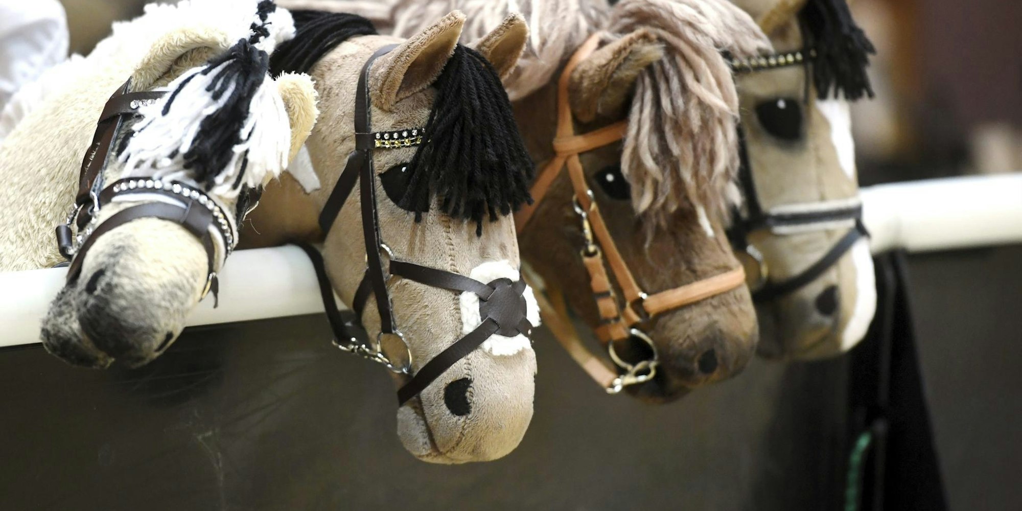 Steckenpferde_19062020