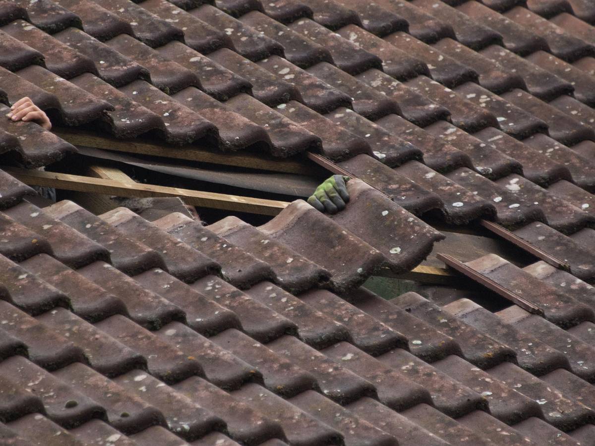 Dachpfannen