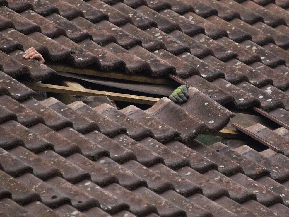 Dachpfannen