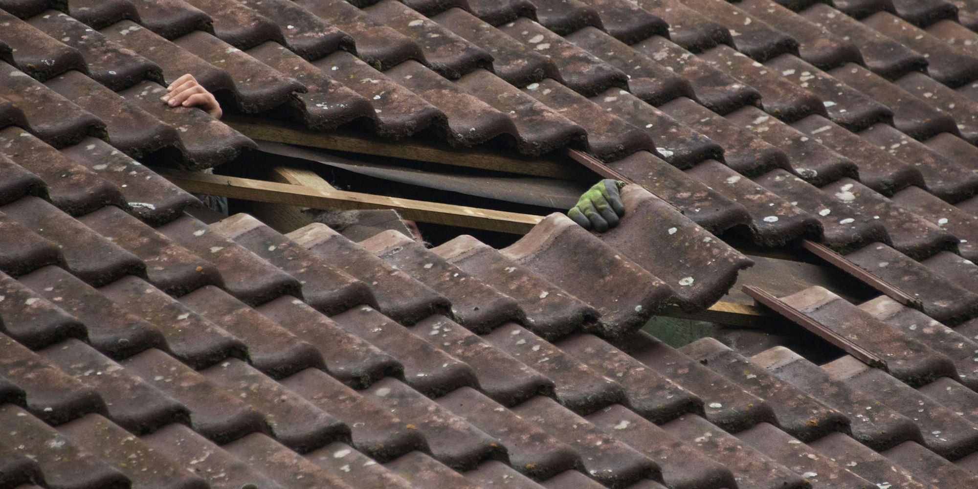 Dachpfannen