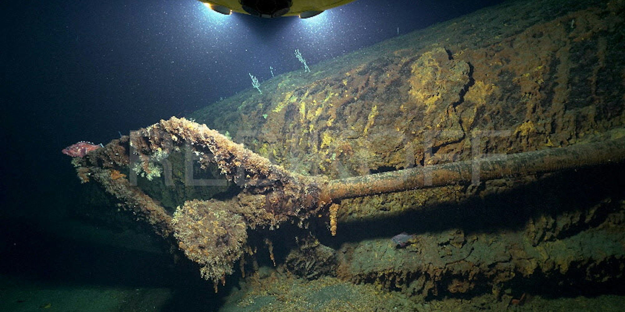 01K___04_71-111752795_ori