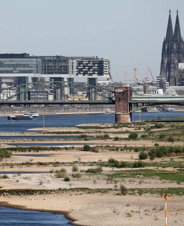 Rhein Pegel
