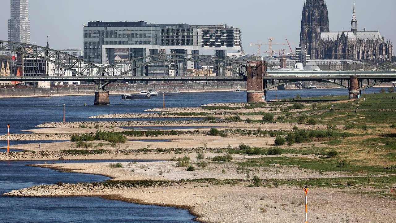 Rhein Pegel