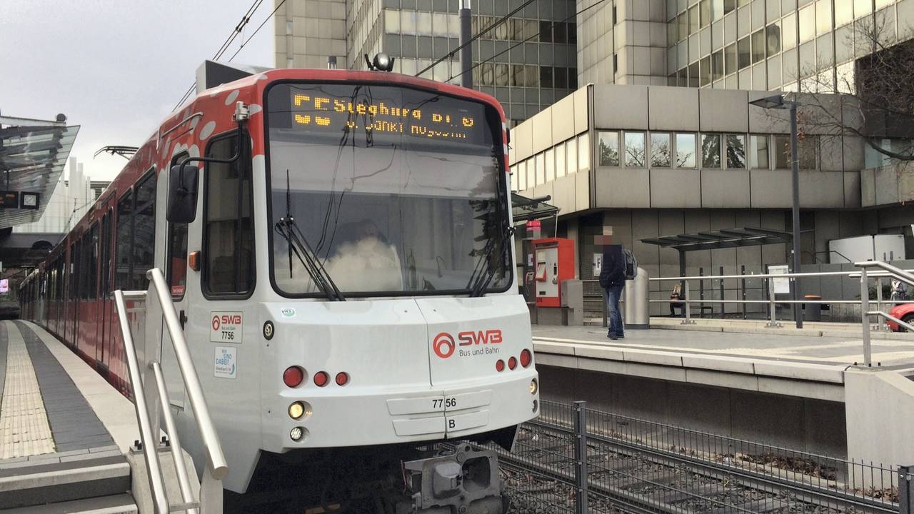Eine Bahn der Linie 66 hält an einer Haltestelle.