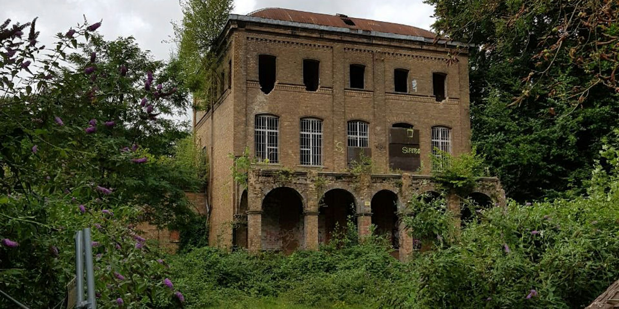 01K___24_71-121590792_ori