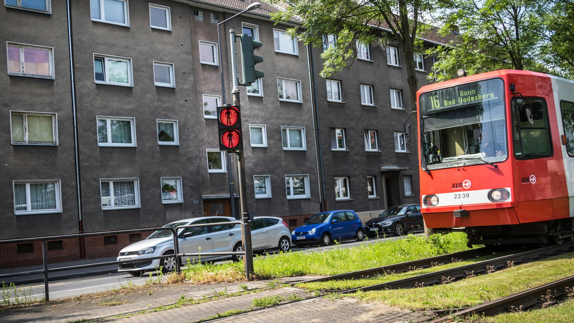 Eine Bahn der KVB-Linie 16 Richtung Bonn.