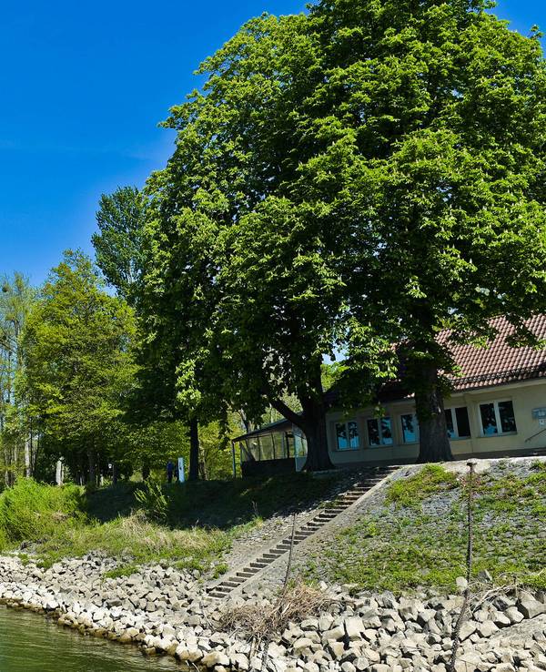 Die Insel Grafenwerth, im Hintergrund ein Teil des Siebengebirges.
