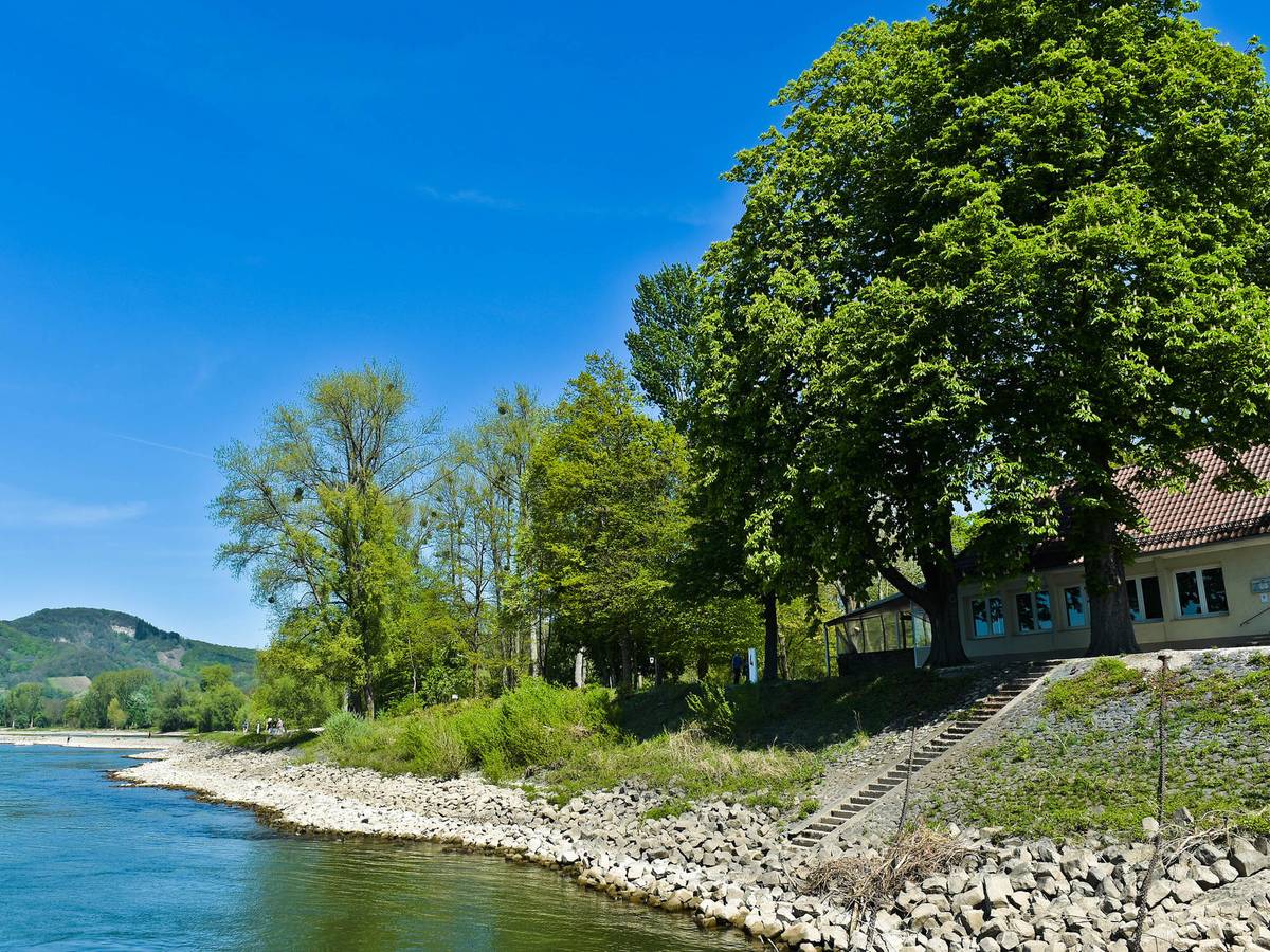 Das Ufer der Insel Grafenwerth mit Blick auf viel Grün und ein Restaurant.