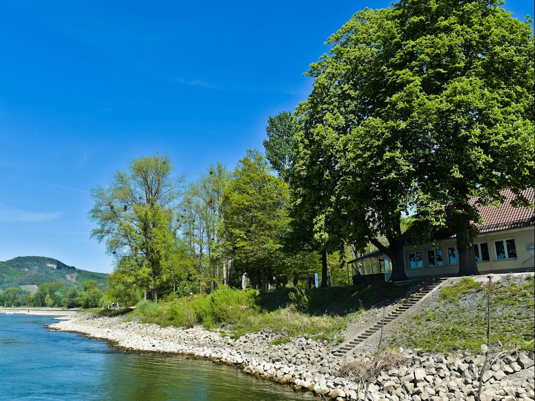 Das Ufer der Insel Grafenwerth mit Blick auf viel Grün und ein Restaurant.