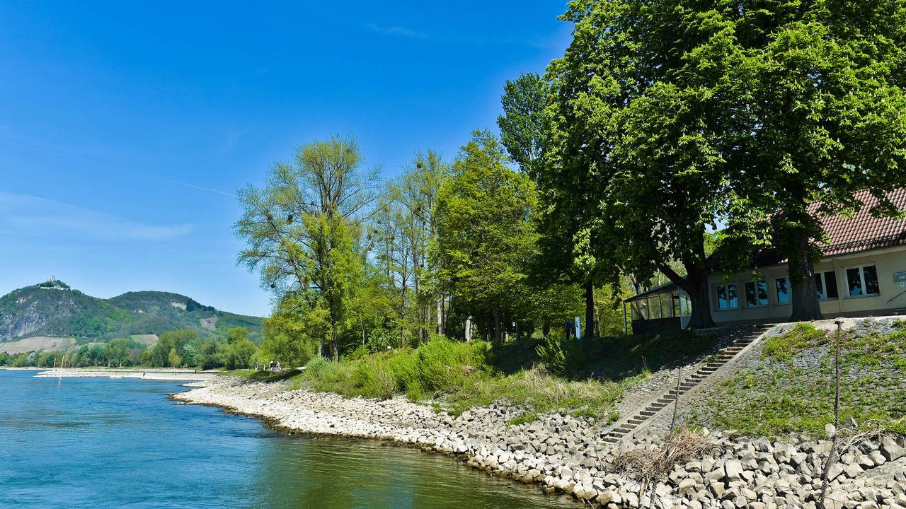 Die Insel Grafenwerth, im Hintergrund ein Teil des Siebengebirges.