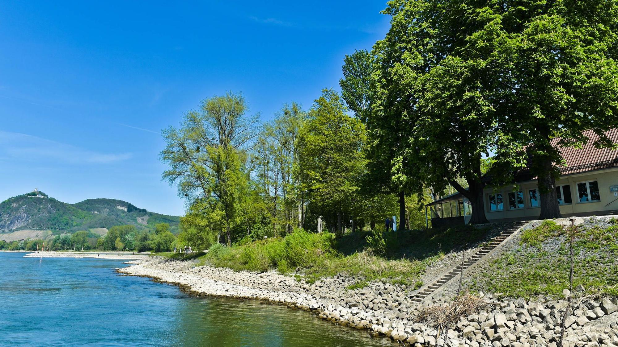 Das Ufer der Insel Grafenwerth mit Blick auf viel Grün und ein Restaurant.