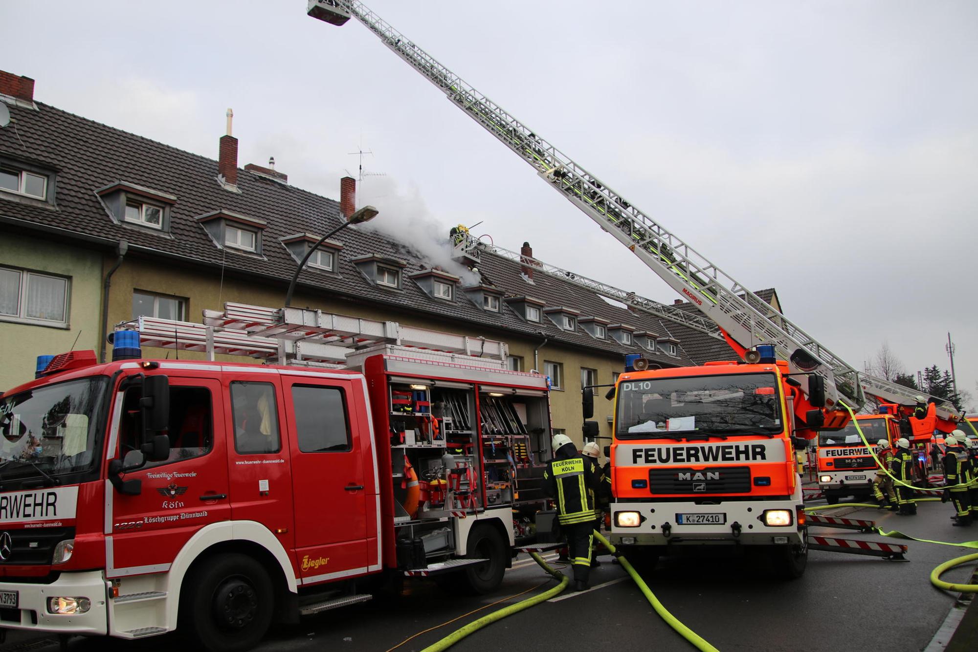 feuer_dünnwald_neu