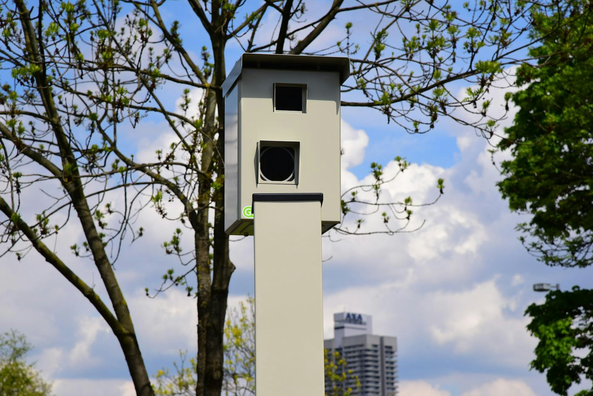 01KBO_32_71-115786364_ori