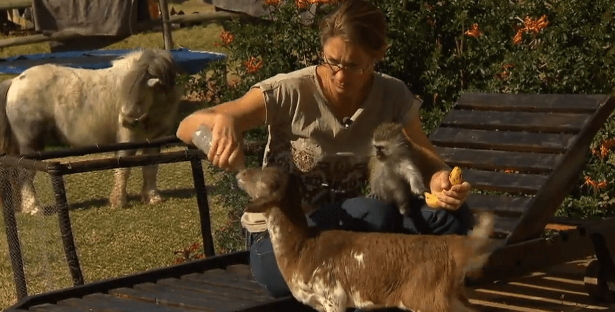 Goodbye_Deutschland_Marie_Heidtke_Tiere