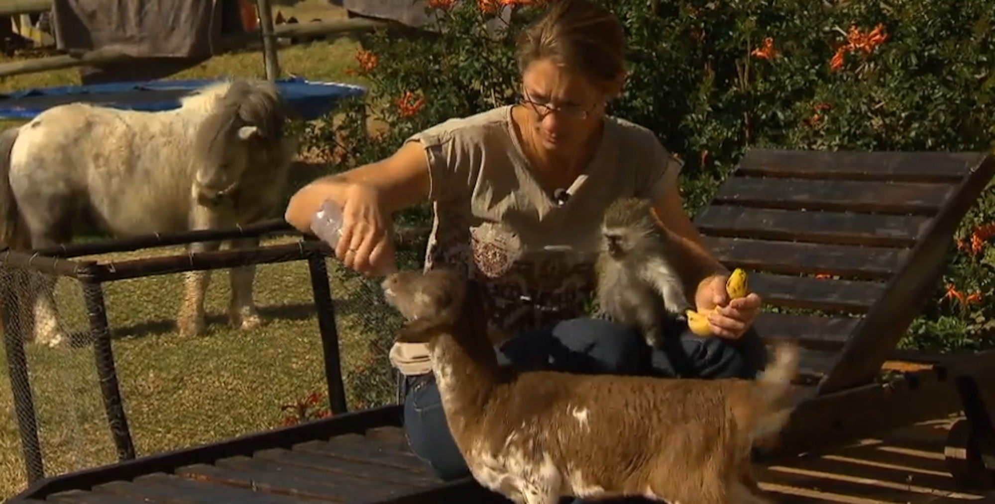 Goodbye_Deutschland_Marie_Heidtke_Tiere