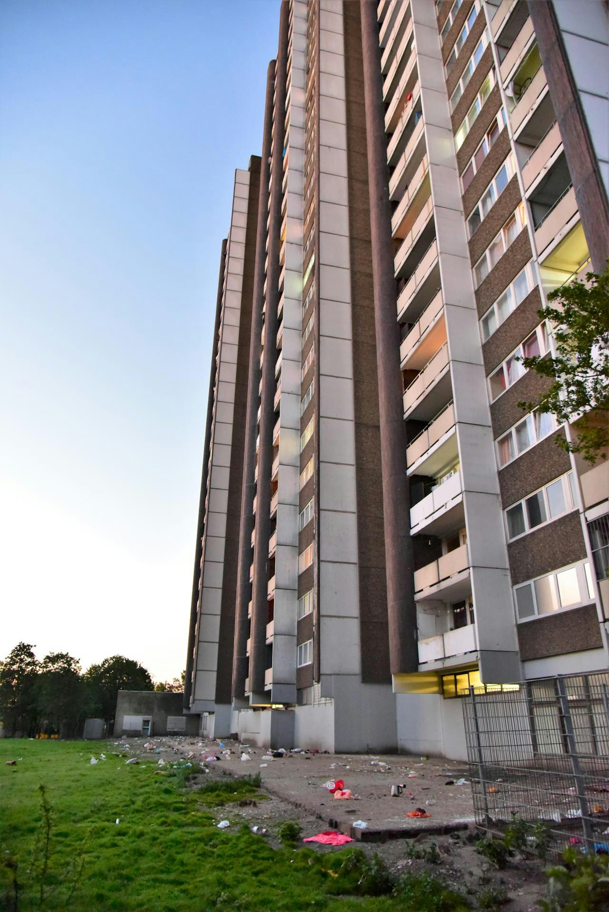 rattenplage_meschenich_31_05_2021_02