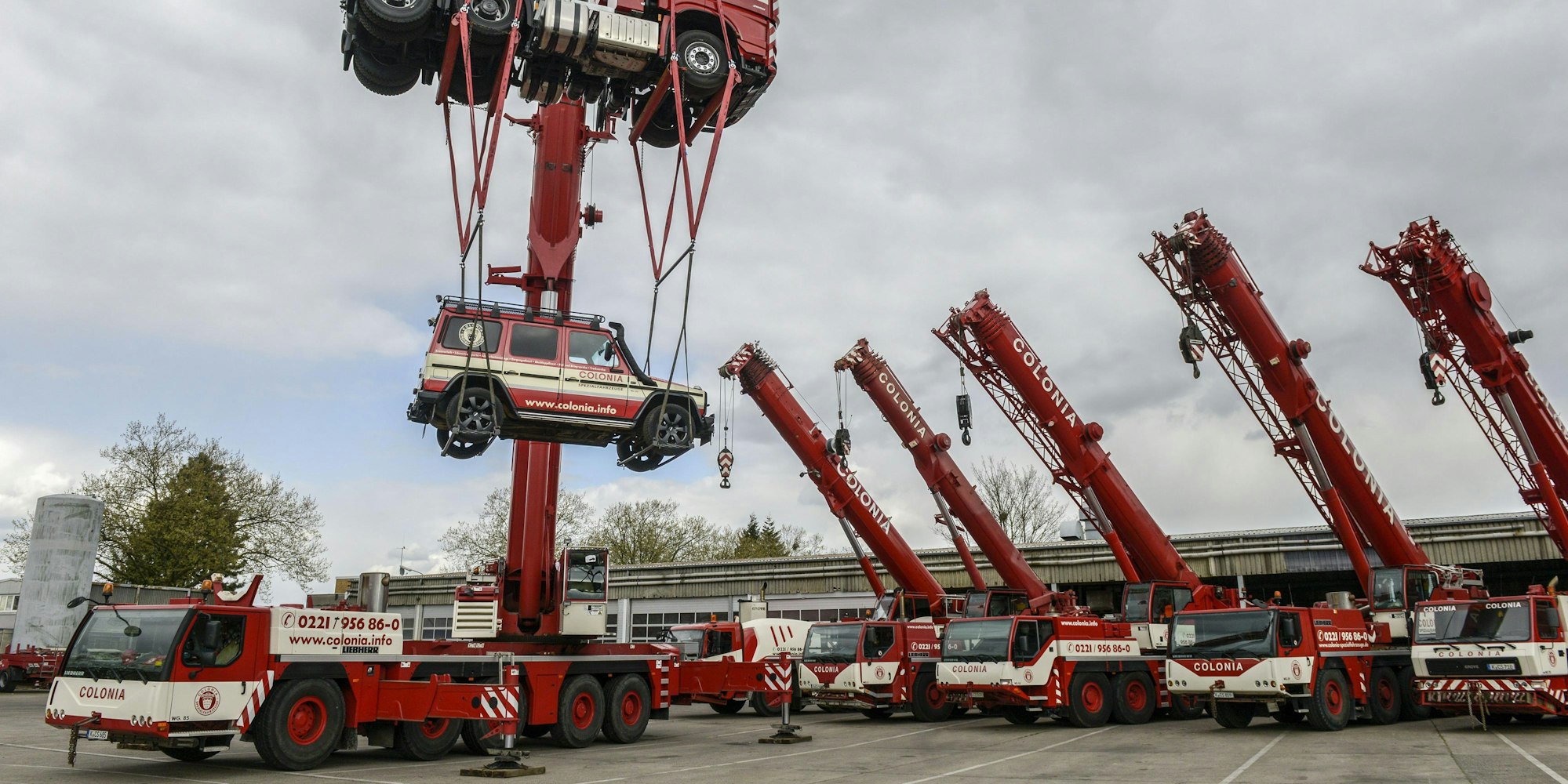 01SOKP37_71-98583293_ori