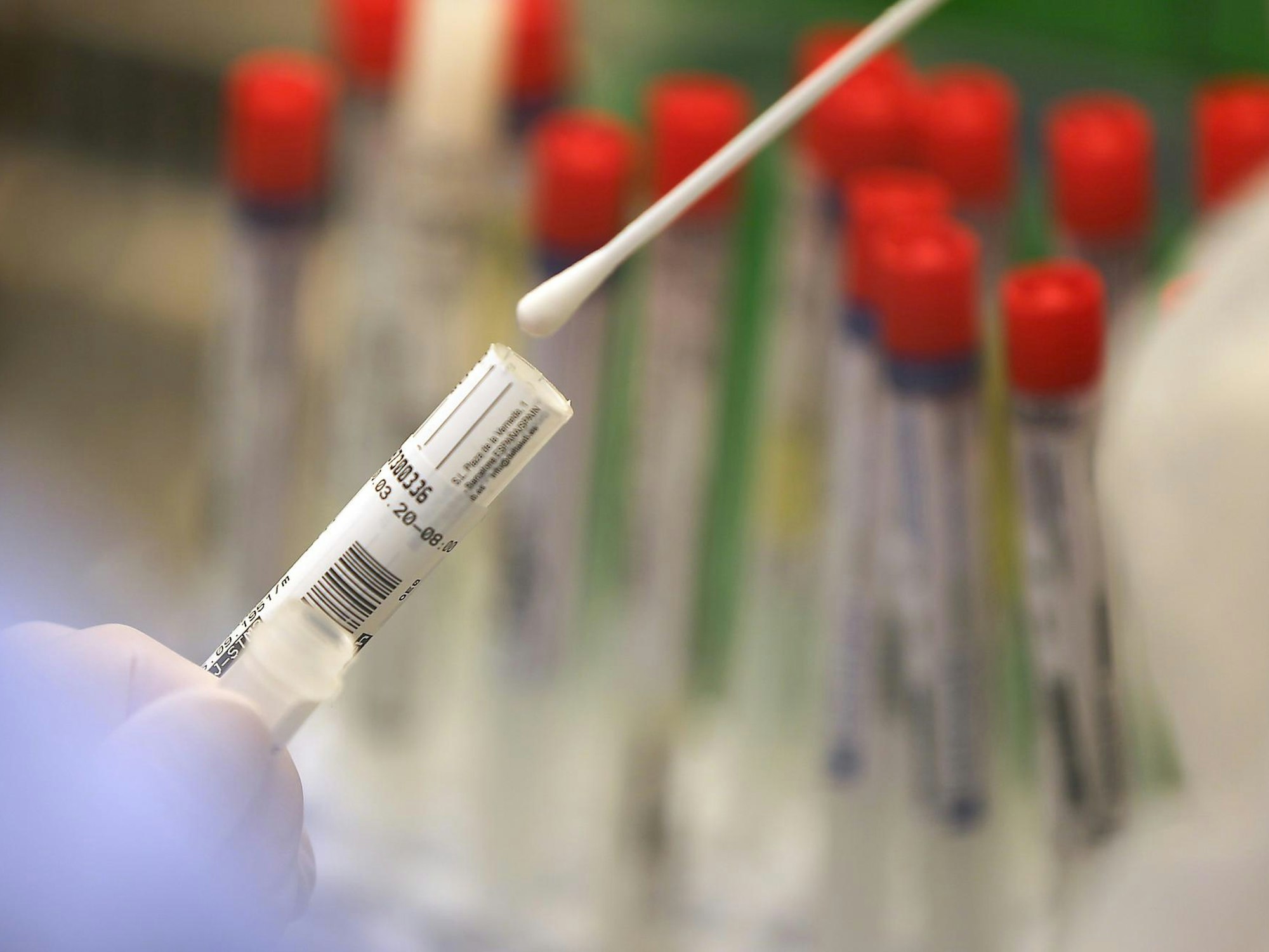 Ein Corona-Tests wird in einem Labor untersucht.