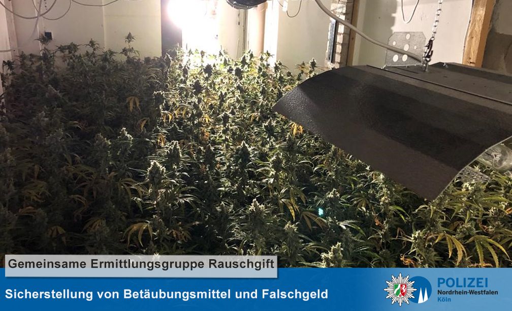 polizei_köln_marihuana_bande_08_04_2021 (3)