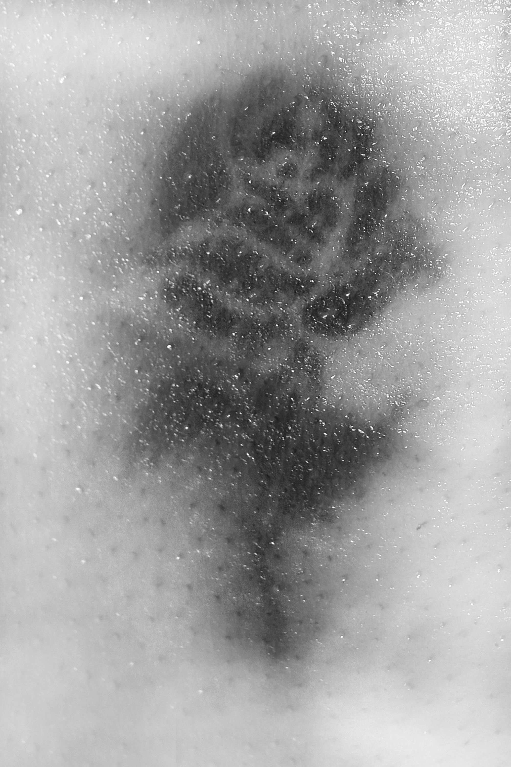 Tattoo-Mann Brust links Rose 170612