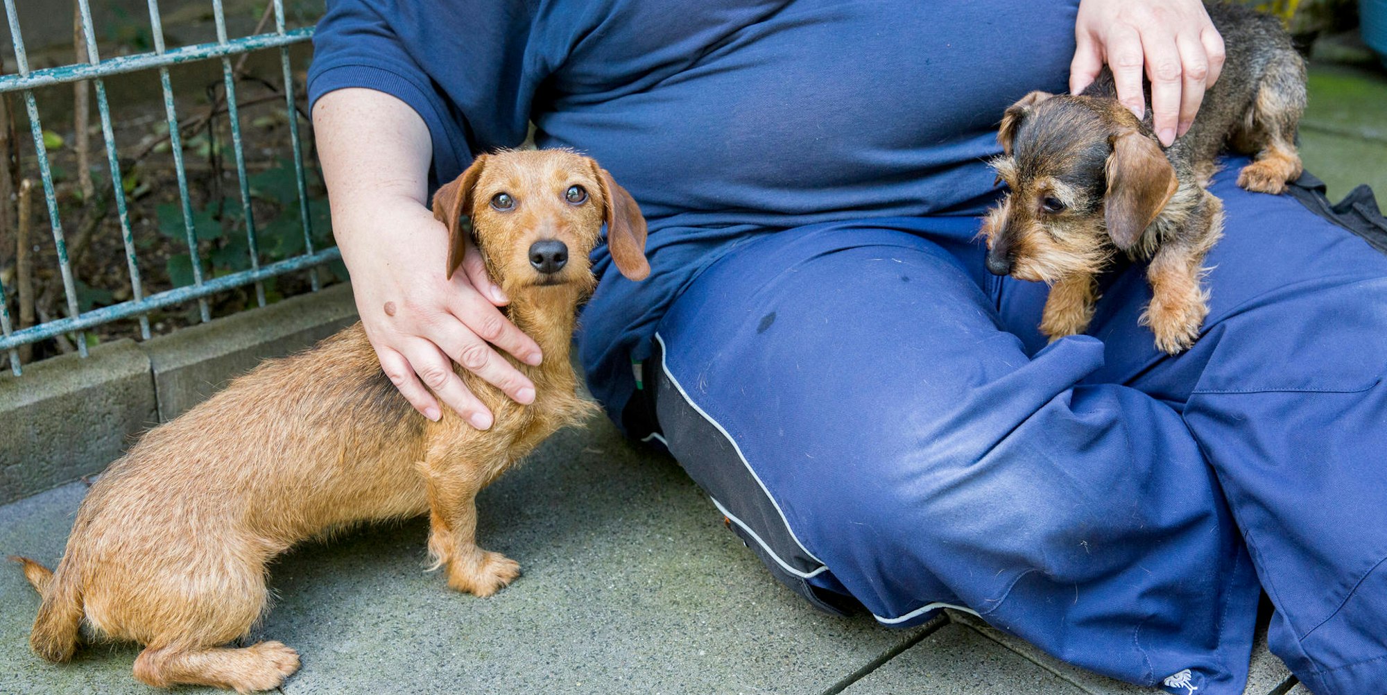 20200907-MBA-DackelTierheim-05