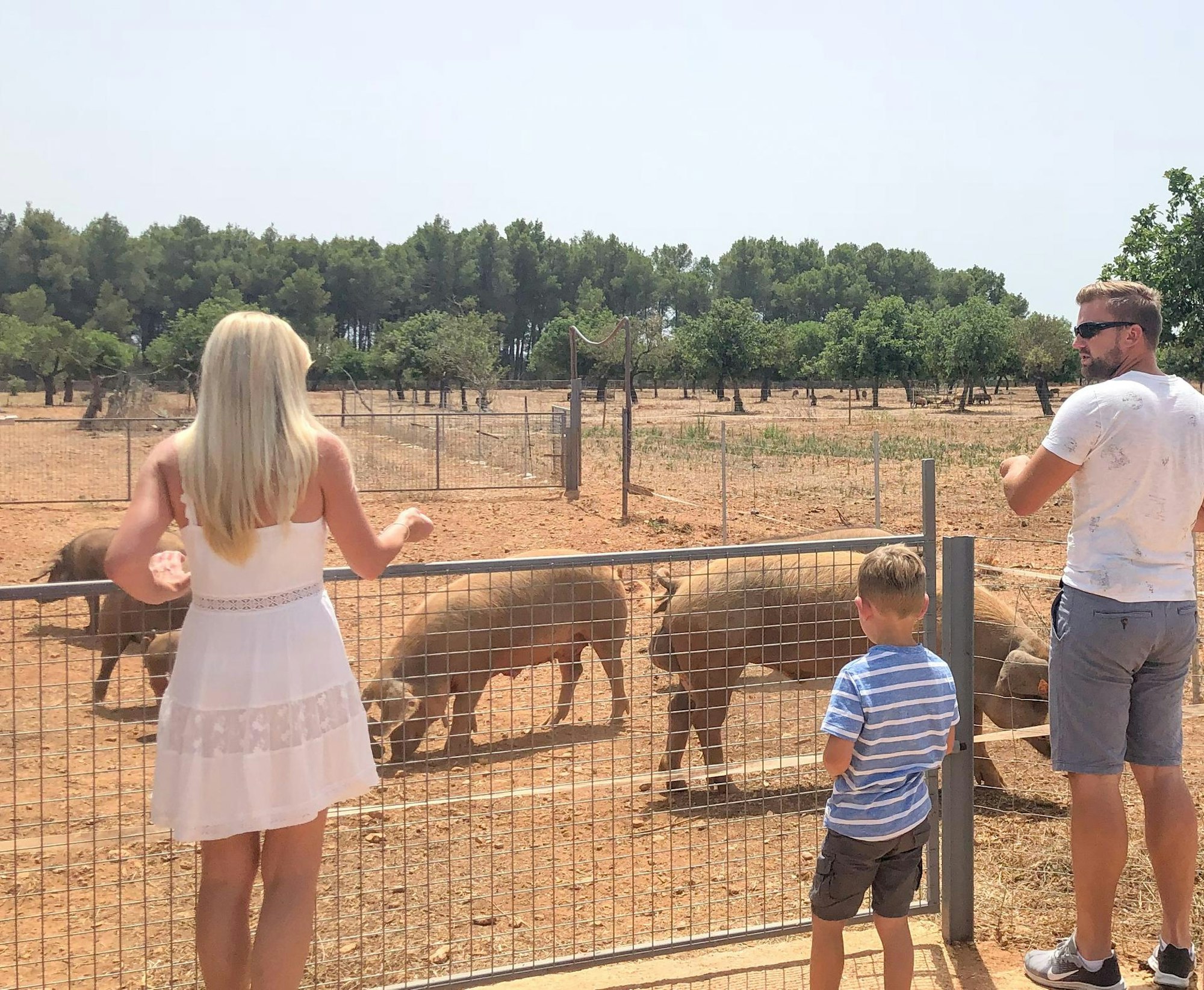 Dennis_Goodbye_Deutschland