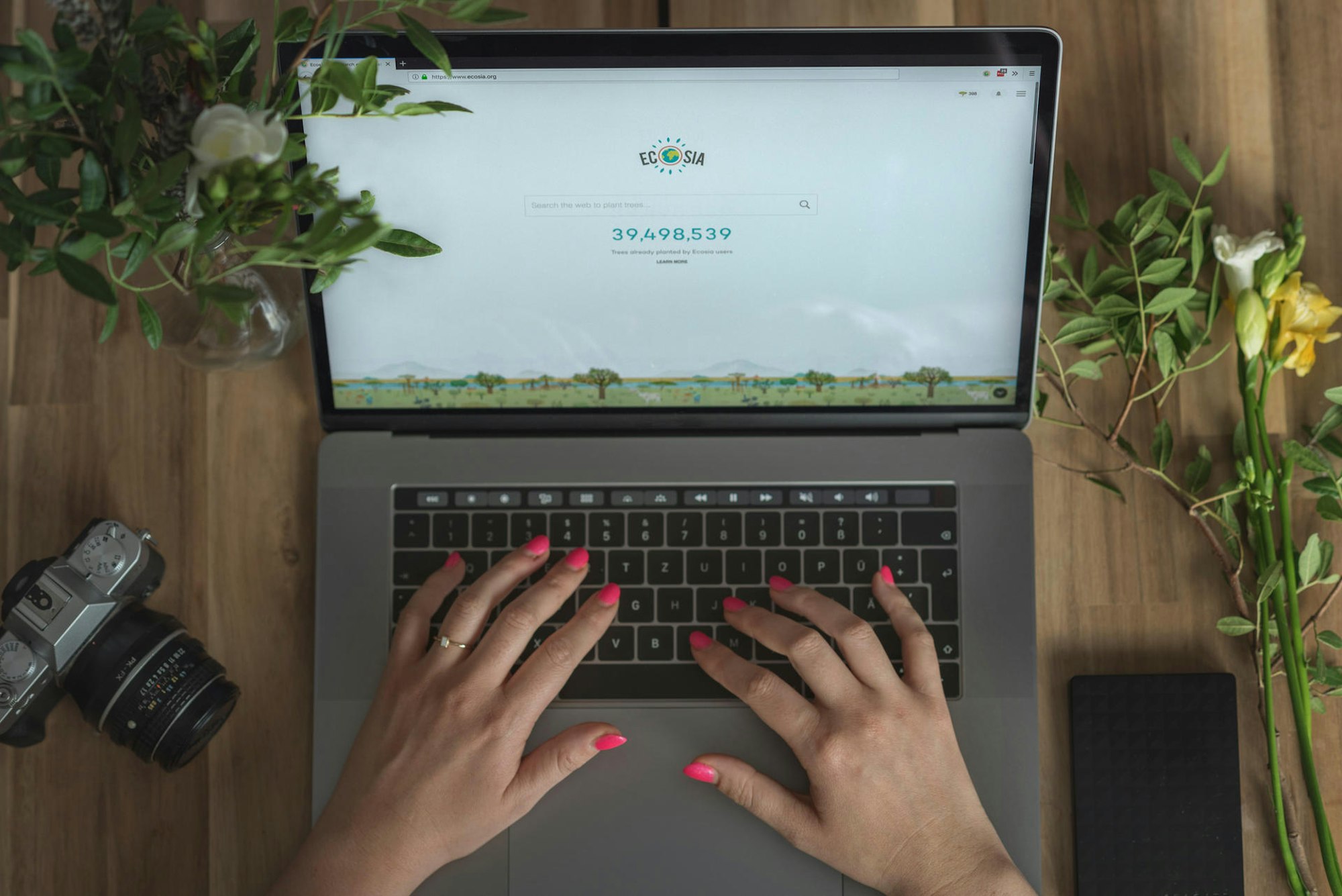 Ecosia on Laptop
