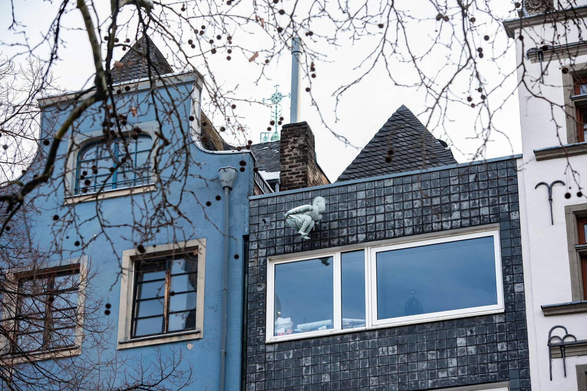 190201_uw_Kallendresser_004