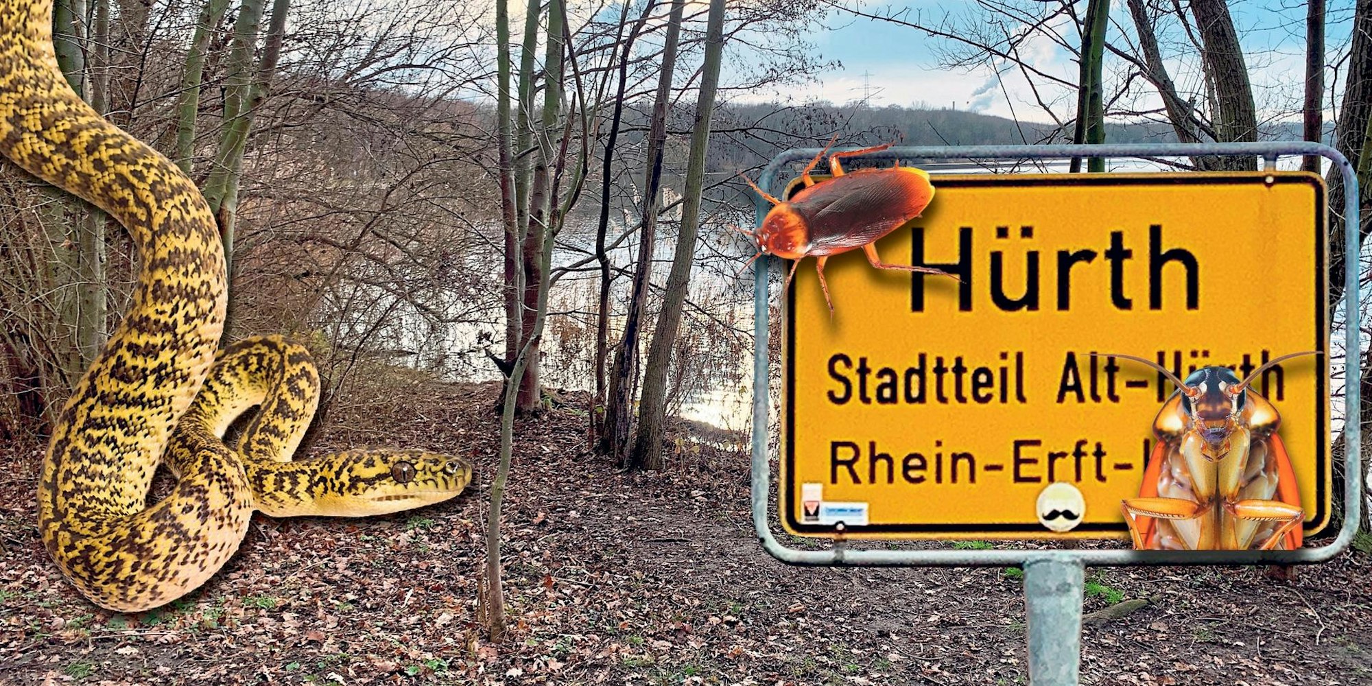 Dschungel_Hürth_Schild_14012021