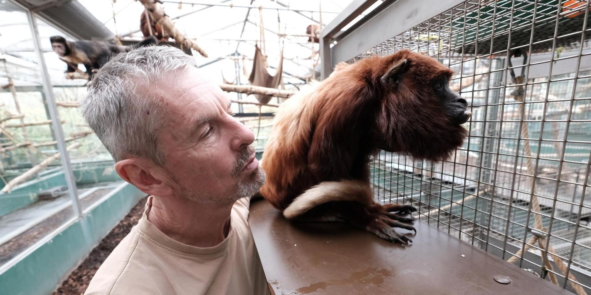 Zoo_Affenliebe1
