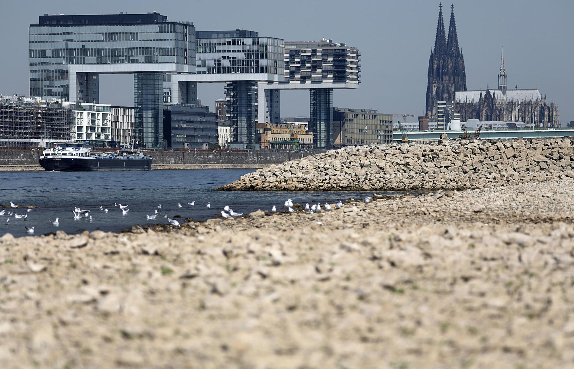 Köln trocken
