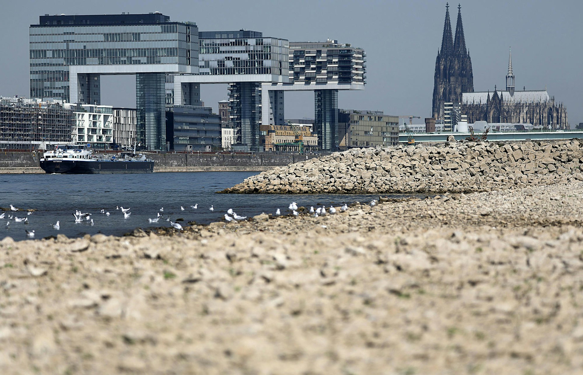 Köln trocken